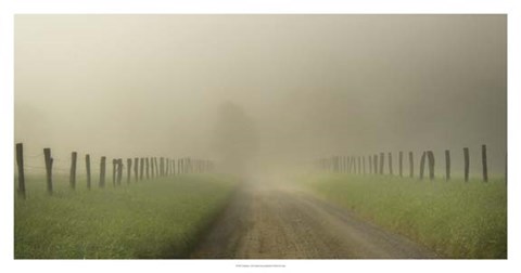 Framed Vanishing Print