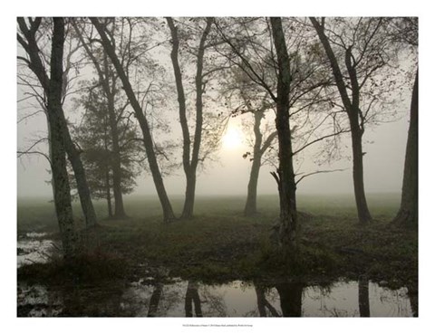 Framed Reflections of Nature Print