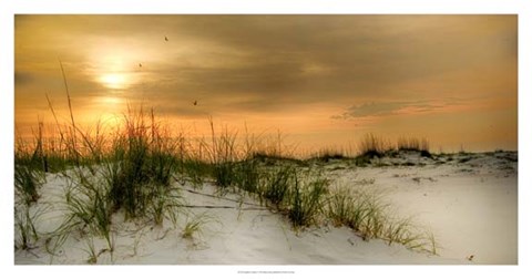 Framed Seagulls at Sunrise Print