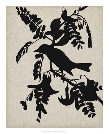 Framed Audubon Silhouette V Print