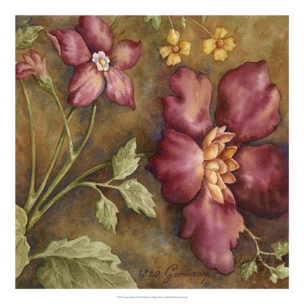 Framed Antique Beauties II Print