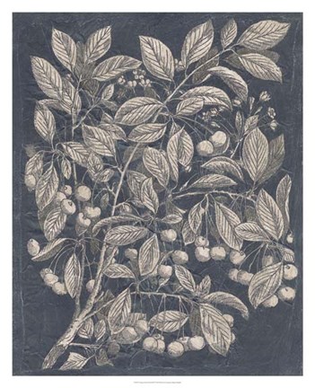 Framed Vintage Fruit &amp; Floral III Print