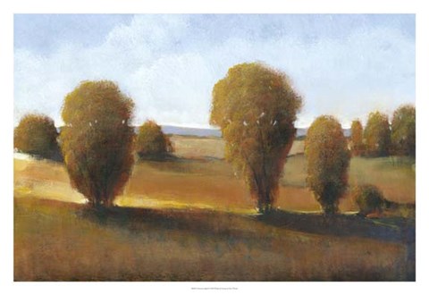 Framed Afternoon Light II Print