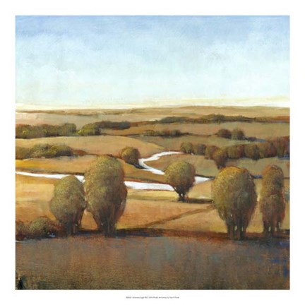 Framed Afternoon Light III Print