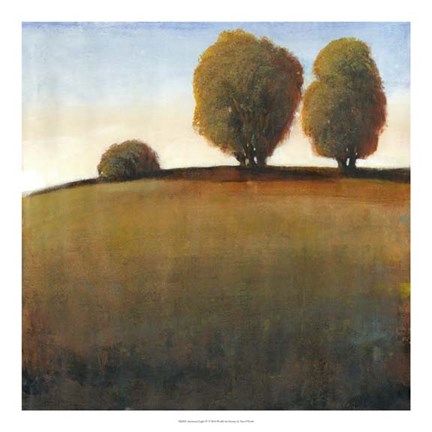 Framed Afternoon Light IV Print