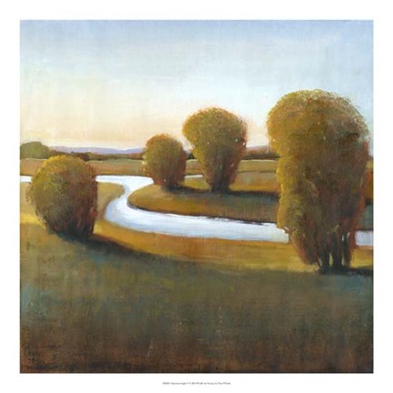 Framed Afternoon Light V Print