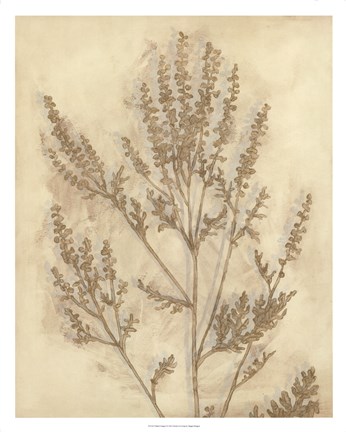 Framed Gilded Foliage II Print