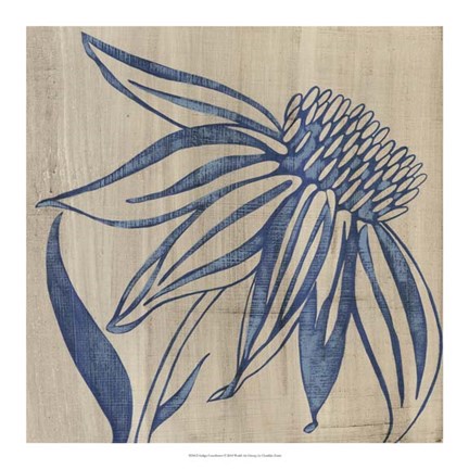 Framed Indigo Coneflower Print