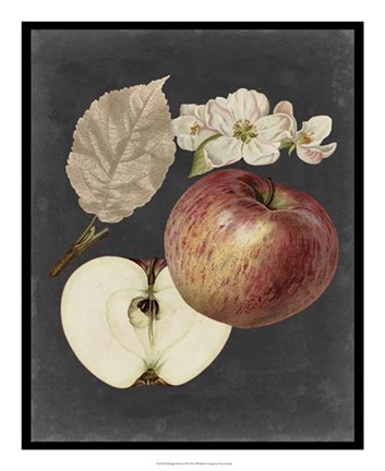 Framed Midnight Harvest II Print