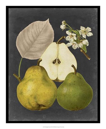 Framed Midnight Harvest III Print