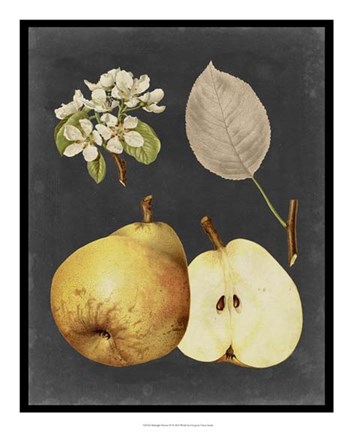 Framed Midnight Harvest IV Print