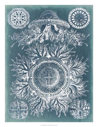 Framed Sealife Blueprint I Print