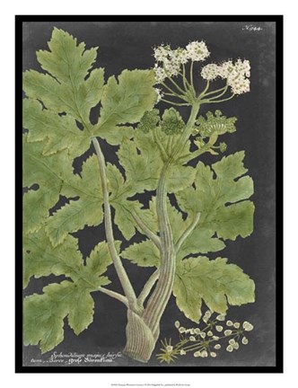 Framed Dramatic Weinmann Greenery I Print