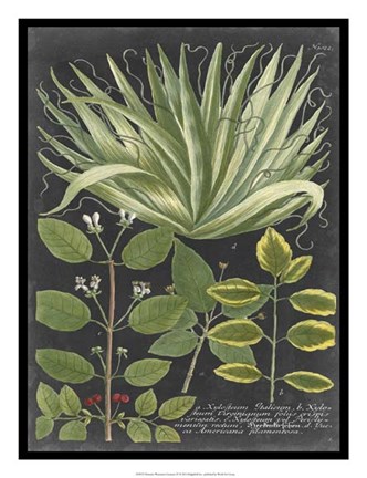 Framed Dramatic Weinmann Greenery IV Print