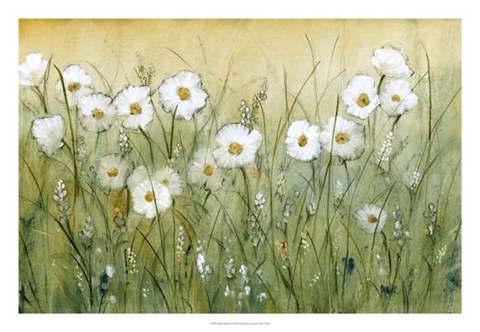 Framed Daisy Spring II Print