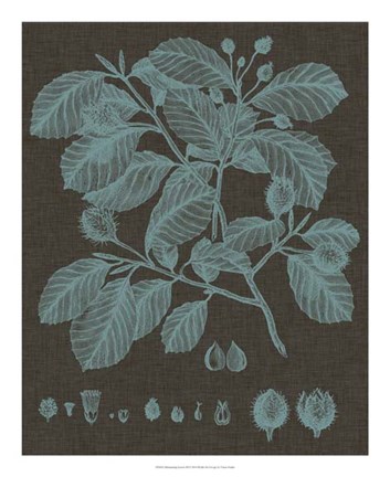 Framed Shimmering Leaves III Print