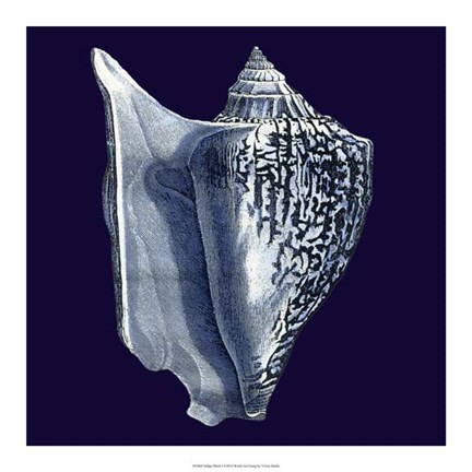 Framed Indigo Shells I Print