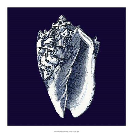 Framed Indigo Shells II Print