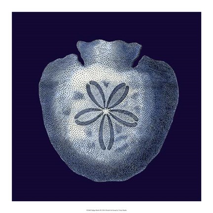 Framed Indigo Shells III Print