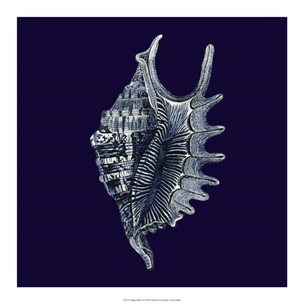 Framed Indigo Shells VI Print