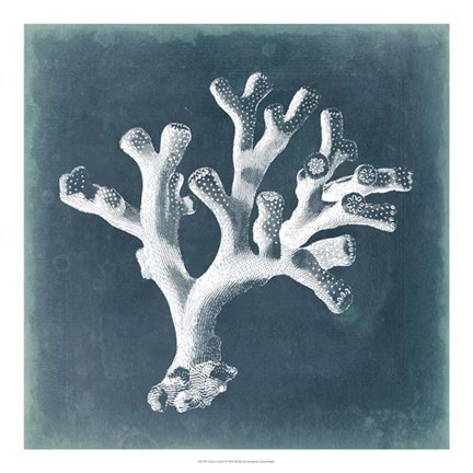 Framed Azure Coral II Print