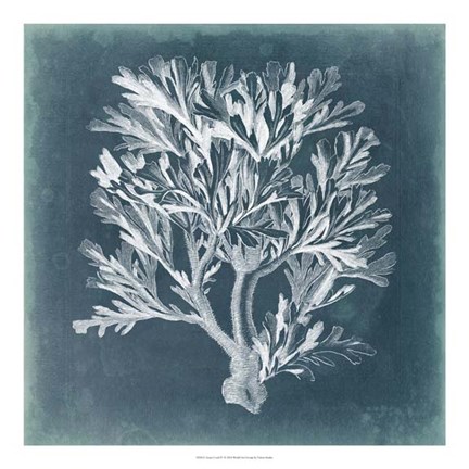 Framed Azure Coral IV Print