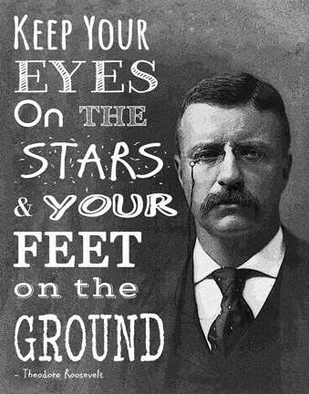 Framed Keep Your Eyes On the Stars and Your Feet On the Ground - Theodore Roosevelt Print