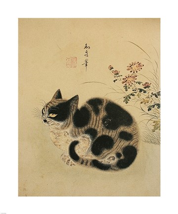 Framed Autumn Cat in a Garden with Chrysanthemum Print