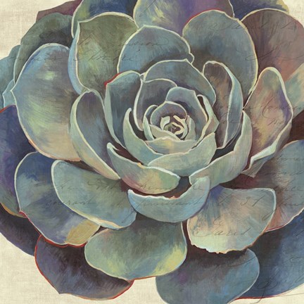 Framed Succulence I Print