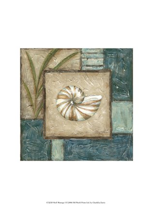 Framed Shell Montage I Print