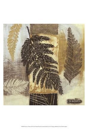 Framed Patterns of Nature III Print