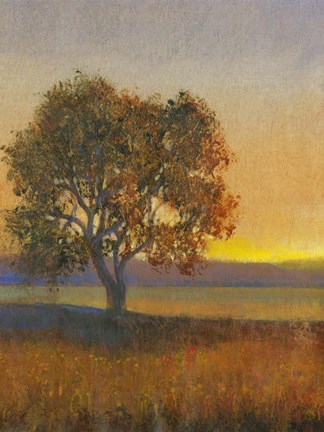 Framed Firelight II Print