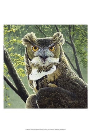 Framed Great Horned Owl Print