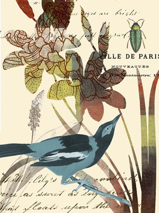 Framed Exotic Blossom I Print