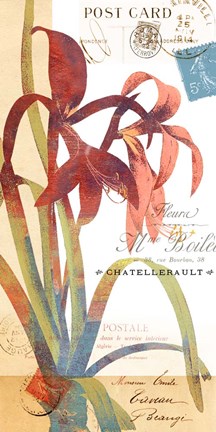 Framed Crowning Glory II Print