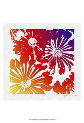 Framed Floral Brights II Print