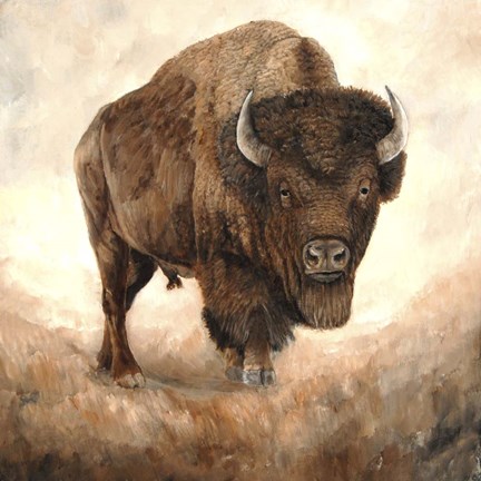 Framed Been There, Done That Print