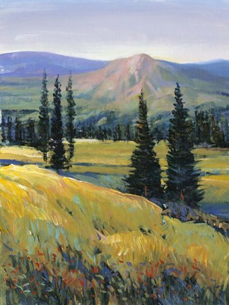 Framed Purple Mountain Majesty II Print