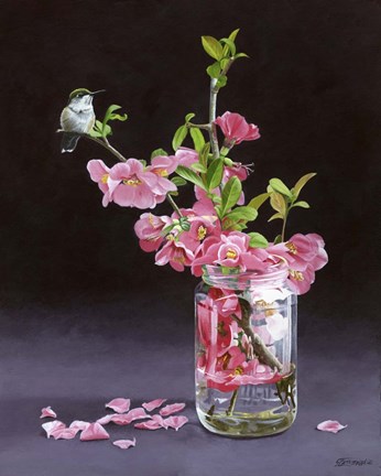 Framed Quince &amp; Ruby I Print