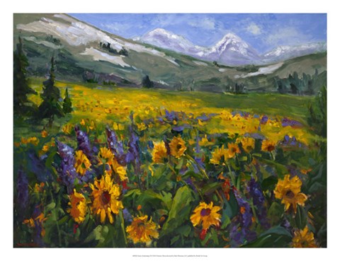 Framed Sierra Awakenings II Print