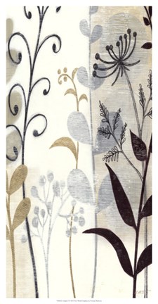 Framed Zephyr I Print