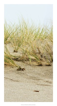 Framed Dunes II Print