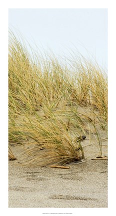 Framed Dunes IV Print