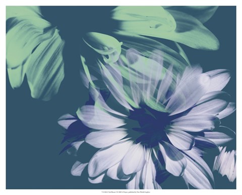 Framed Teal Bloom I Print