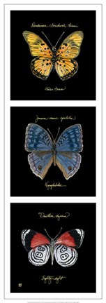 Framed Primary Butterfly Panel II Print