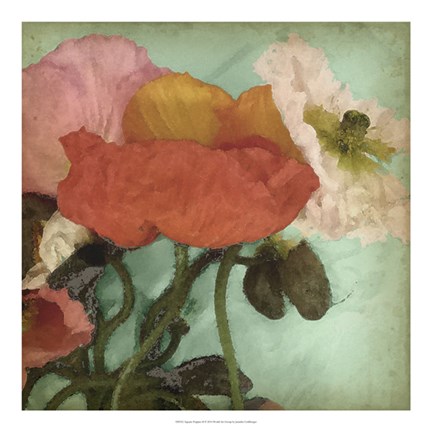 Framed Aquatic Poppies II Print