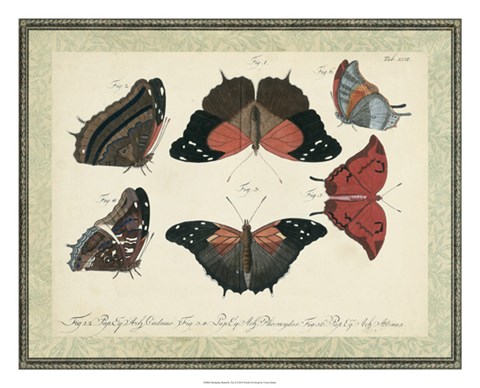 Framed Bookplate Butterflies Trio II Print