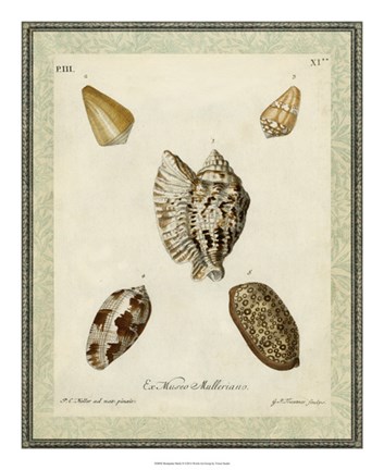Framed Bookplate Shells II Print