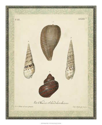 Framed Bookplate Shells V Print