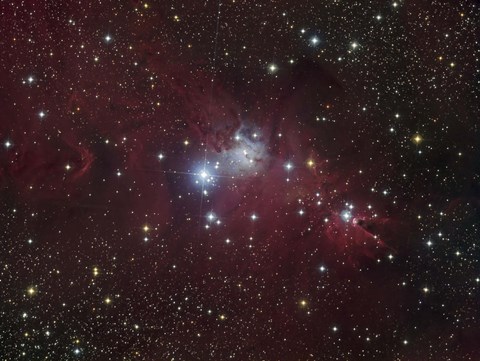 Framed NGC 2264 region showing the Cone Nebula, Christmas Tree Cluster, and Fox Fur Nebula Print